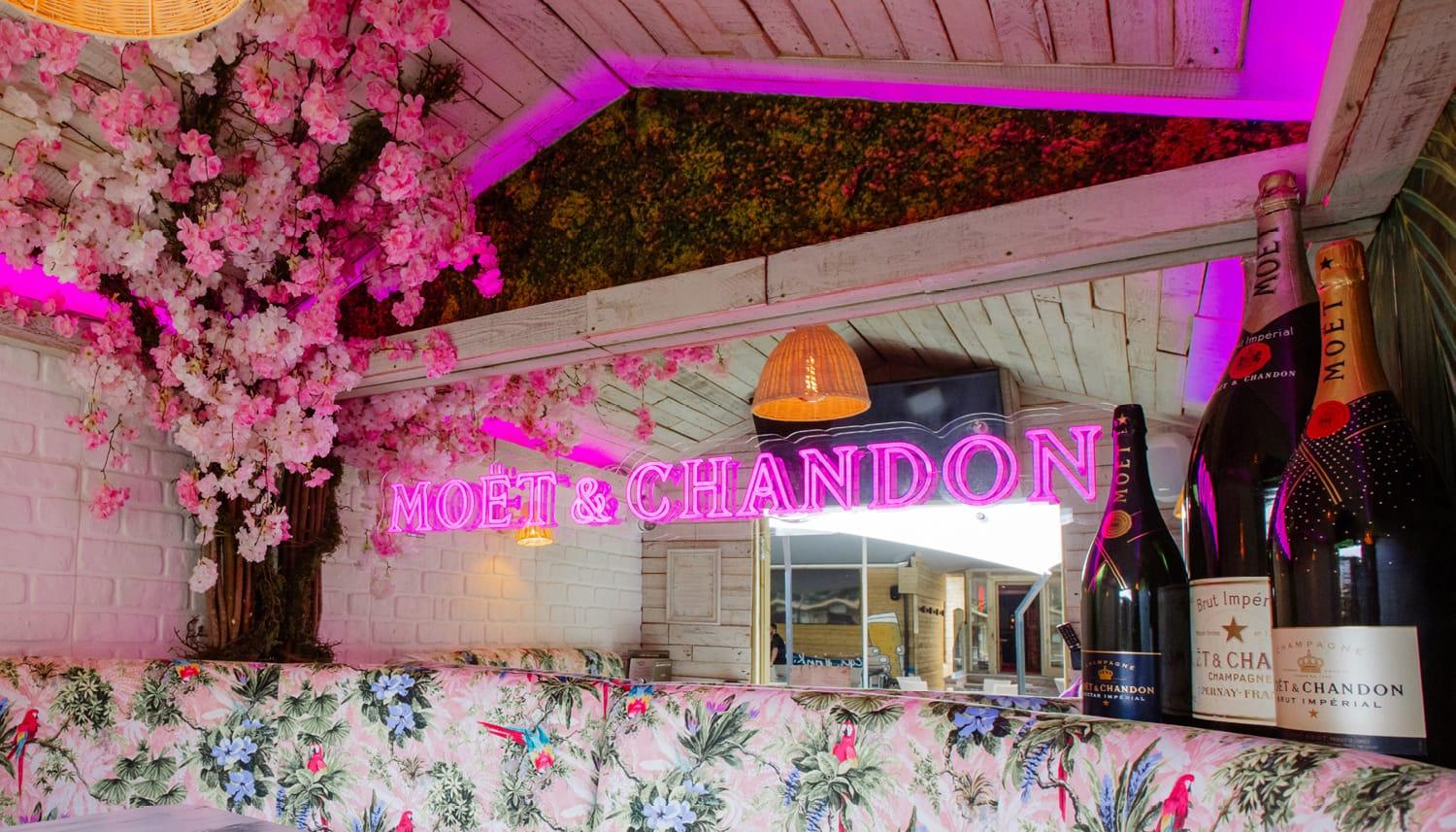 Book The Champagne Houses Button 1500x857